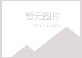 江津夏岚造纸有限公司